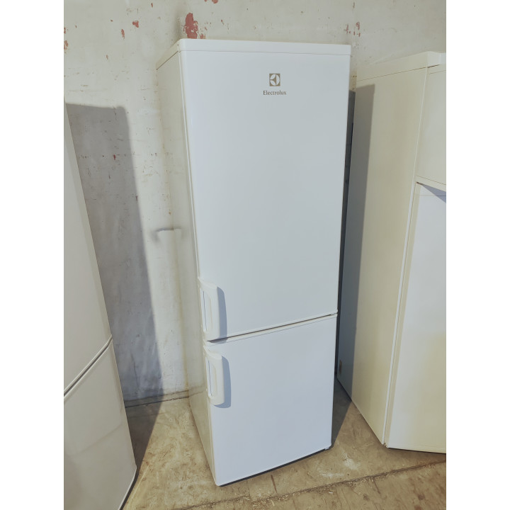 Používaná Chladnička Electrolux 170cm